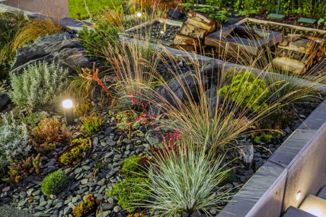 Beautiful rockery garden illuminated at night 2025 03 15 22 59 04 utc